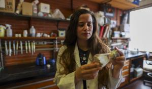 Los hongos pueden ser la clave para deshacerse de las colillas de cigarrillos