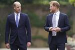 Los príncipes William y Harry, cada vez más alejados