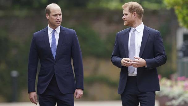 Los príncipes William y Harry, cada vez más alejados