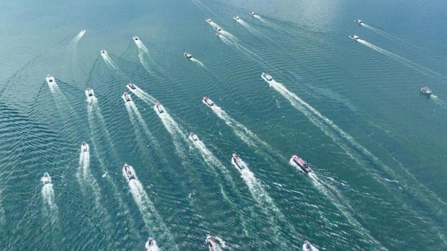 Batallan en la ONU por un tratado que proteja la biodiversidad en altamar