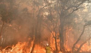Los incendios del “verano negro” australiano afectaron la capa de ozono, dice estudio