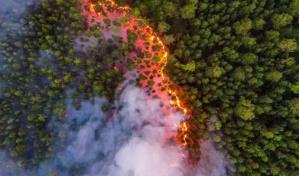 Incendios en región rusa cerca de Moscú abarcan casi 20,000 hectáreas