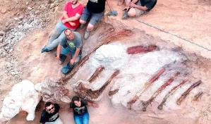 Hallado en Portugal un enorme dinosaurio saur&oacute;podo