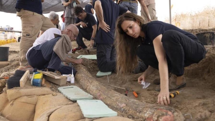 Descubren en Israel colmillo de elefante de 500,000 años