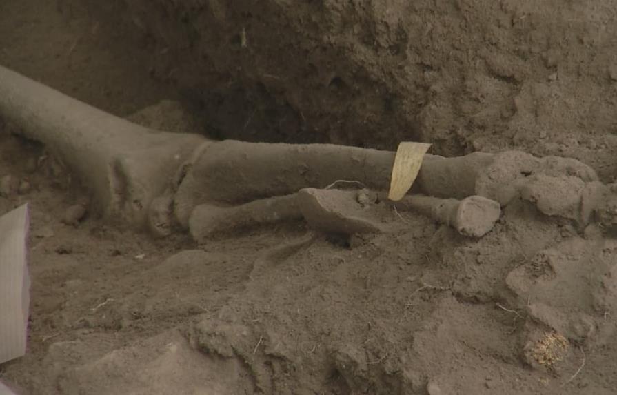 Arqueólogos hallan cementerio de unos 3,000 años en Samaná