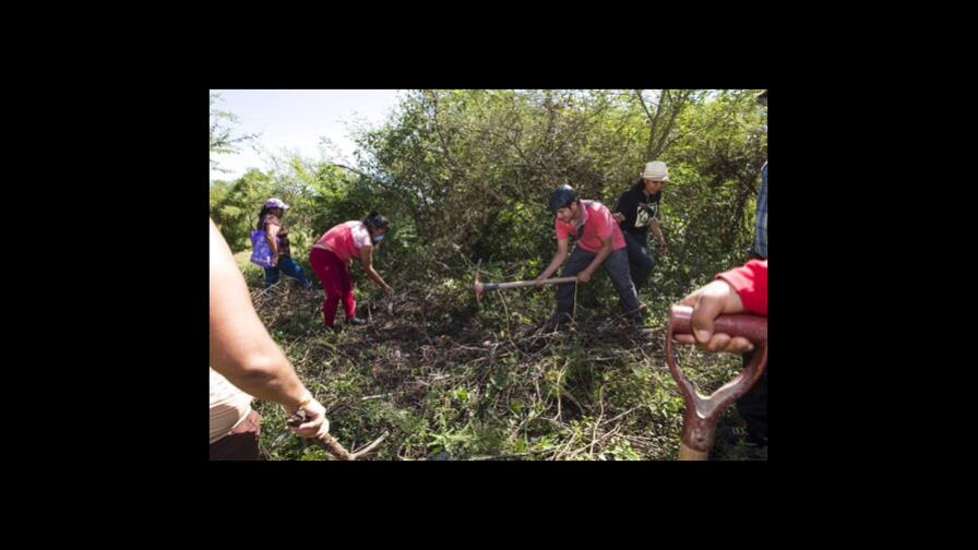 Asesinan a tercer activista de desaparecidos en México
