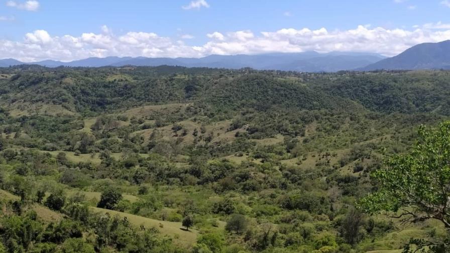 Cámara Forestal califica de “funesta” suspensión de aprovechamiento de madera bruta