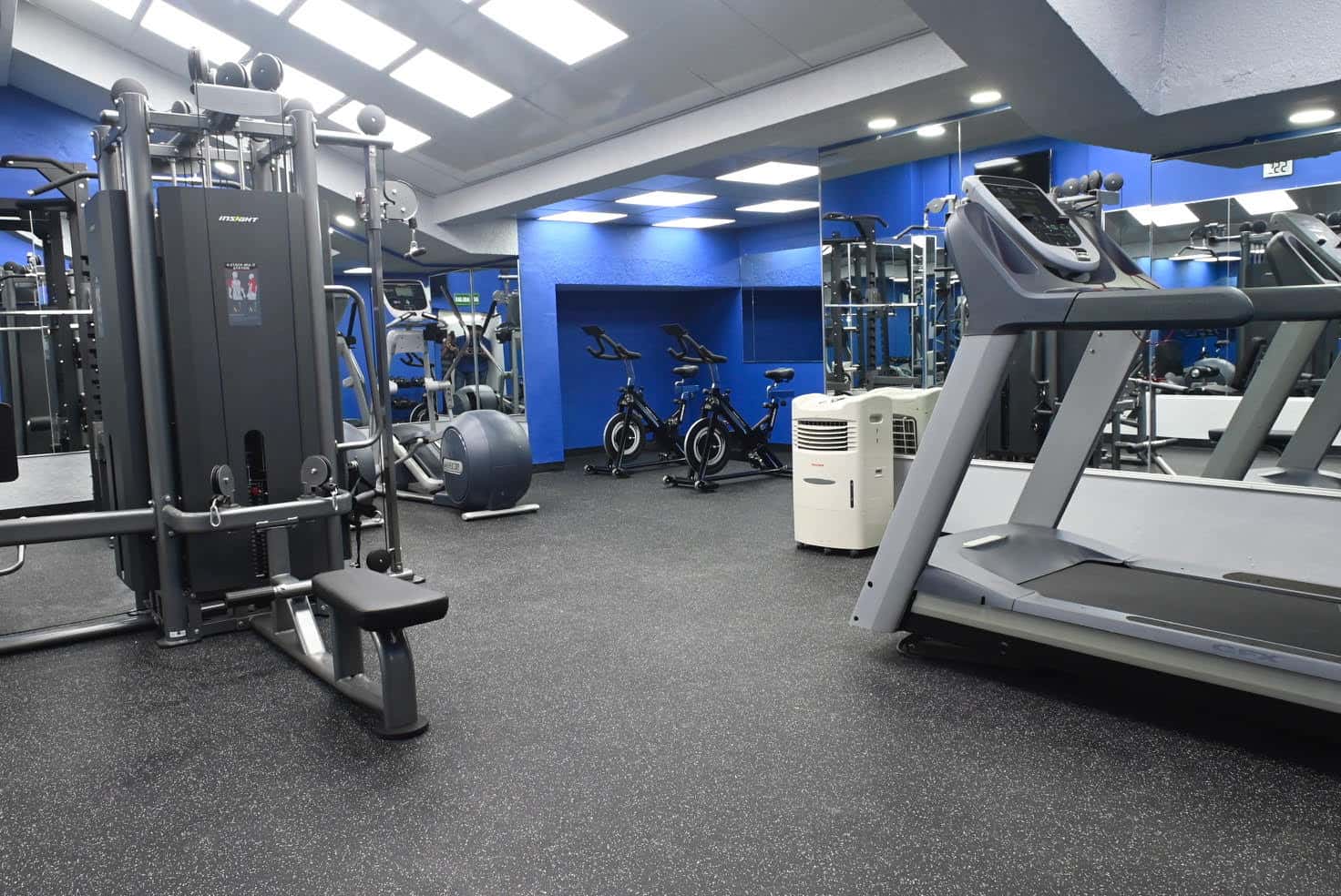 Gimnasio