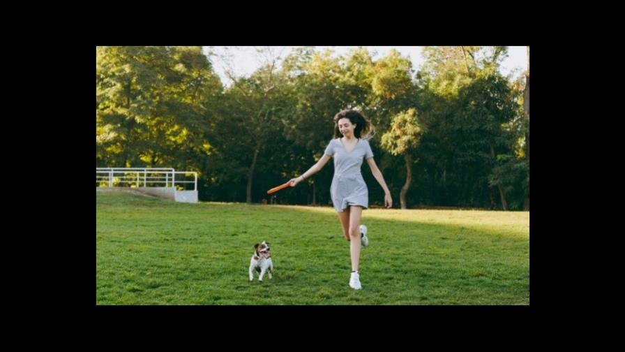 Deportes para realizar con tu perro