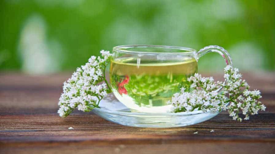 Todas las propiedades de la valeriana