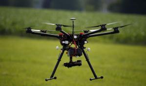 Un sistema español para reforestar con semillas inteligentes y drones