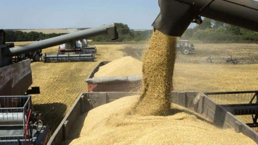 Ucrania exportó 1.68 millones de toneladas de cereal en primer mes de acuerdo Ucrania exportó 1.68 millones de toneladas de cereal en primer mes de acuerdo