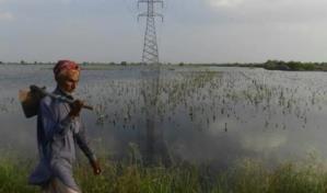 Retrocedimos 50 años, lamentan agricultores de Pakistán tras inundaciones