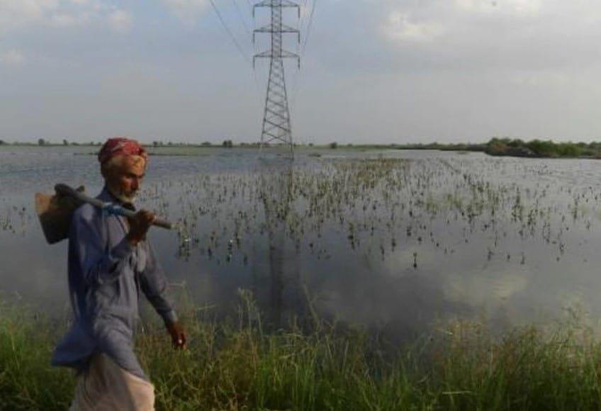 Retrocedimos 50 años, lamentan agricultores de Pakistán tras inundaciones