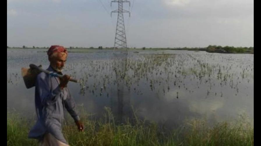 Retrocedimos 50 años, lamentan agricultores de Pakistán tras inundaciones