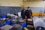 Decomisan un millón de medicamentos falsificados  Decomisan un millón de medicamentos falsificados