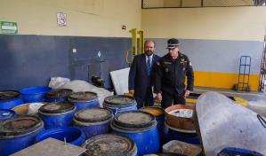 Decomisan un millón de medicamentos falsificados 