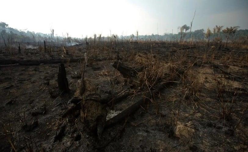 Día de la Amazonía: Los incendios se disparan en el arranque de septiembre