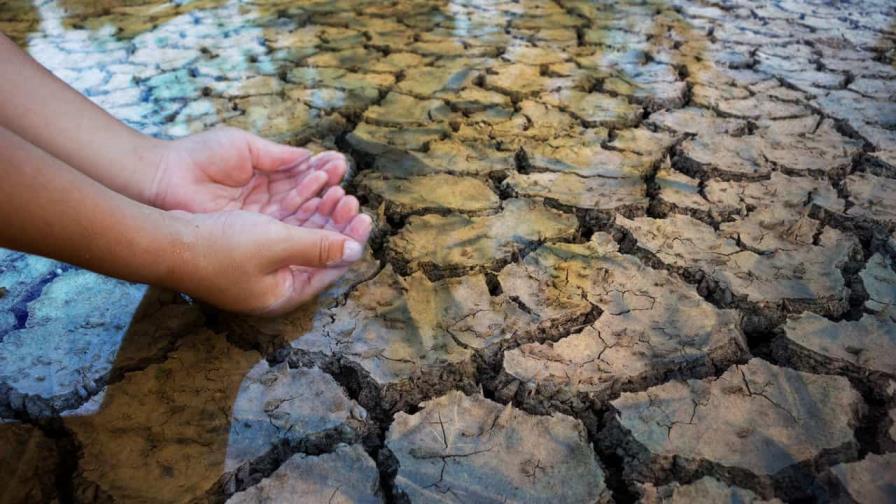 Subdirector de la FAO: Sin seguridad hídrica, los sistemas alimentarios están en riesgo