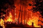 Los incendios en Europa y R.Unido generaron 6,4 megatoneladas de carbono Los incendios en Europa y R.Unido generaron 6,4 megatoneladas de carbono