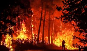 Los incendios en Europa y R.Unido generaron 6,4 megatoneladas de carbono