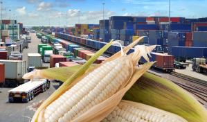 Comercio agroalimentario de UE creci&oacute; un 11 % en mayo, hasta 34,900 millones