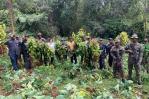 Intervención en Sierra de Bahoruco: ¿Se retoma el plan de rescate?