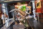 Se subasta en París un dinosaurio de 150 millones de años muy bien conservado