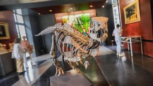 Se subasta en París un dinosaurio de 150 millones de años muy bien conservado