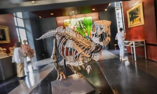 Se subasta en París un dinosaurio de 150 millones de años muy bien conservado