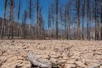 Fenómeno climático La Niña podría tener duración inédita este siglo, según la ONU