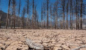 Fenómeno climático La Niña podría tener duración inédita este siglo, según la ONU