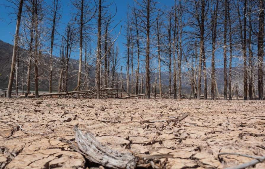 Fenómeno climático La Niña podría tener duración inédita este siglo, según la ONU