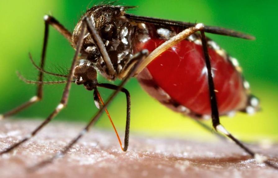 Hospitales infantiles suman 36 internamientos por dengue