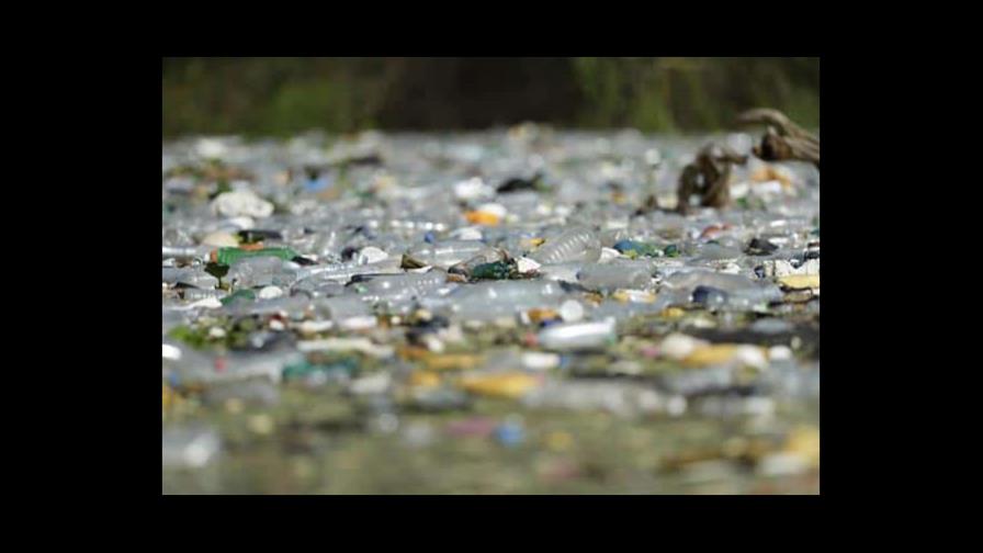 El plástico que pone en peligro a embalse, pesca y especies de El Salvador