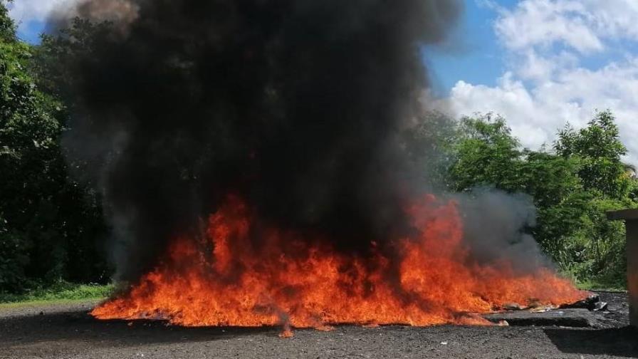 El Inacif incinera 194 kilogramos de drogas en Pedro Brand