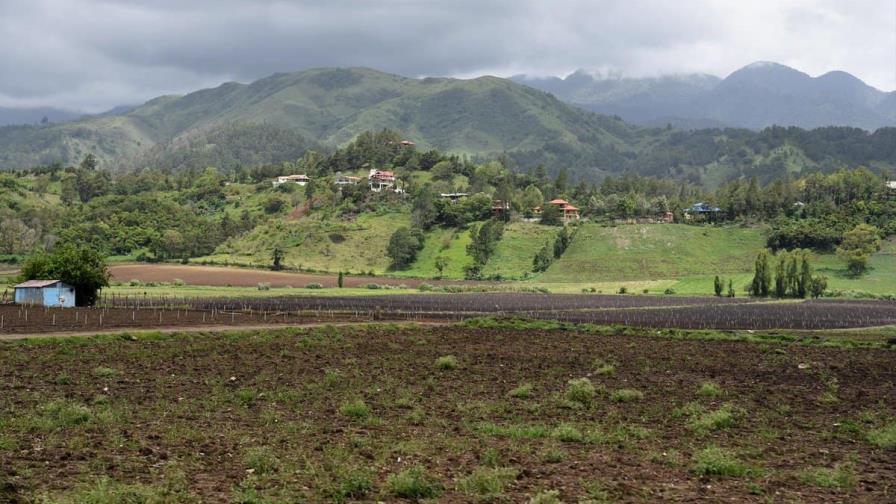 La agricultura impulsa más del 90 % de la deforestación tropical