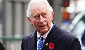 Carlos III muestra una imagen cercana al saludar a admiradores en Buckingham