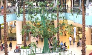 ¡Hoy inicia el Árbol de la Esperanza!