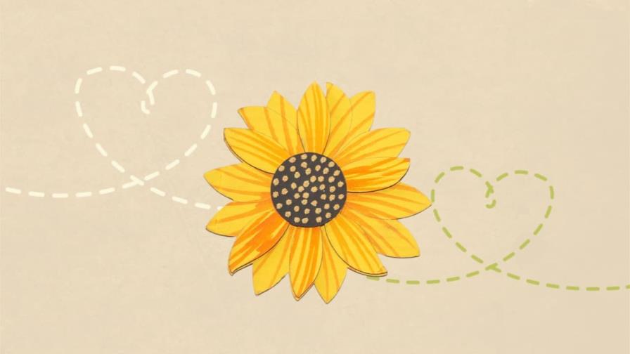 Con un girasol apoyas a la Fundación La Merced en el Árbol de la Esperanza Con un girasol apoyas a la Fundación La Merced en el Árbol de la Esperanza