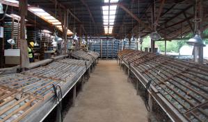 La fiebre del oro se activa en República Dominicana