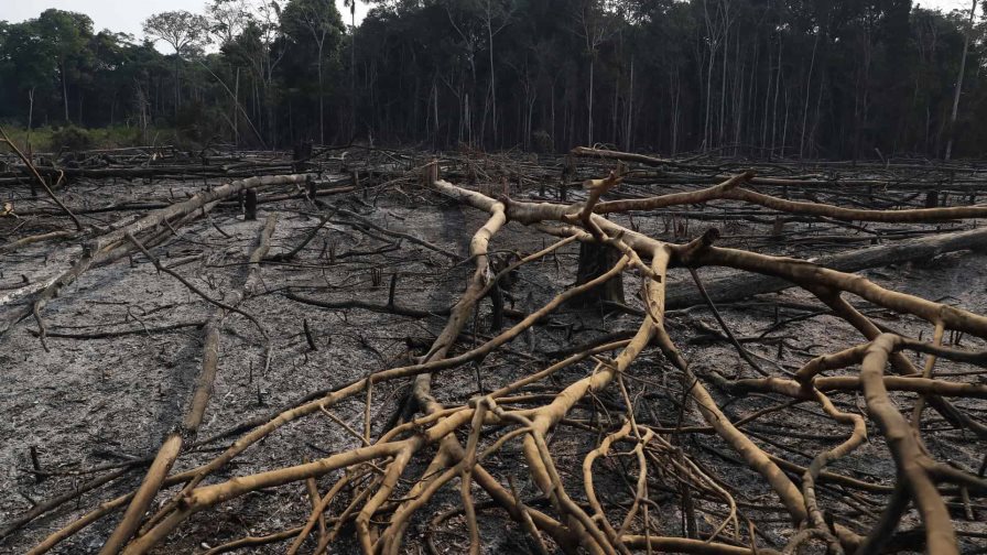 El verde se torna negro en la Amazonía peruana El verde se torna negro en la Amazonía peruana