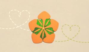 Apoya el Árbol de la Esperanza con un flamboyán a la fundación Quiéreme Como Soy