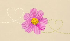 Apoya con una rosa de Bayahíbe a la Asociación Dominicana de Rehabilitación