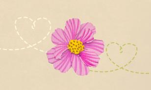 Apoya con una rosa de Bayahíbe a la Asociación Dominicana de Rehabilitación