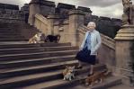 ¿Qué pasará con los perros corgis de Isabel II? ¿Qué pasará con los perros corgis de Isabel II?