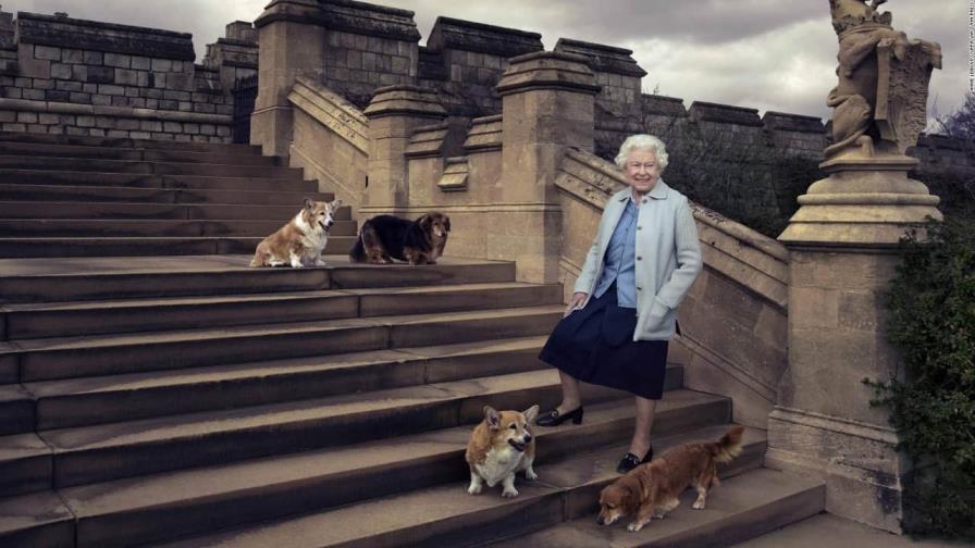 ¿Qué pasará con los perros corgis de Isabel II?