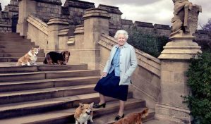 El pr&iacute;ncipe Andr&eacute;s y Sarah Ferguson se quedar&aacute;n con los corgis de Isabel II