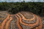 Indonesia y Noruega firman acuerdo sobre deforestación Indonesia y Noruega firman acuerdo sobre deforestación