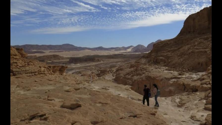 Egipto, sede de la COP27, socava el activismo medioambiental, denuncia Human Rights Watch